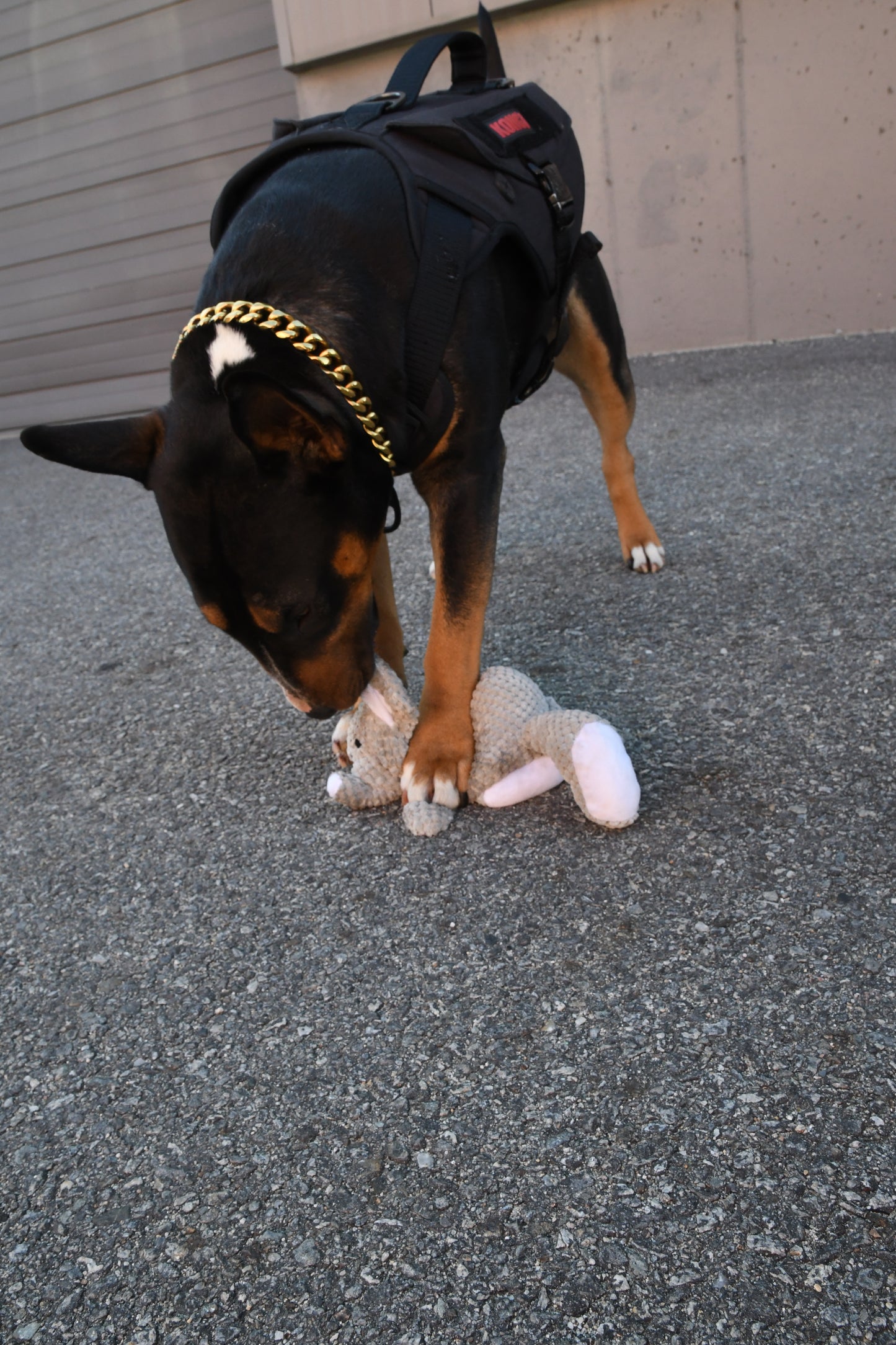 Elephant Dog Toy. Durable Squeaky & Adorable.. Good for Teething Puppies and  Playful Dogs